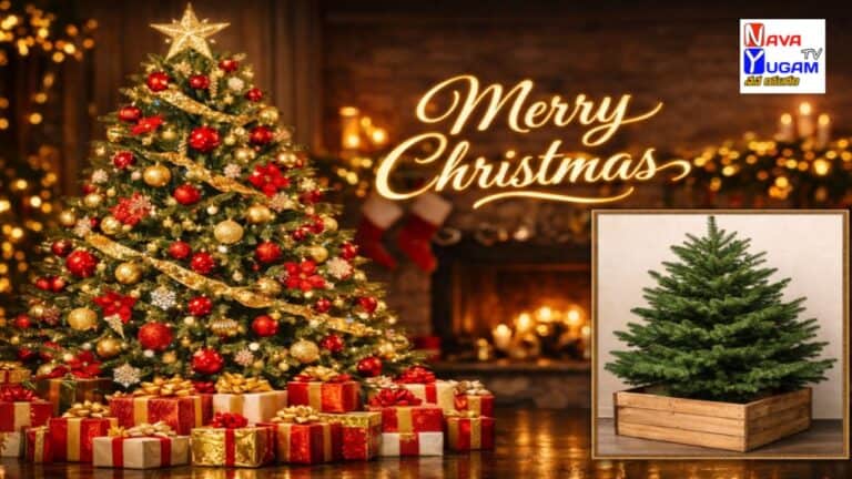 Christmas Tree