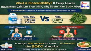 Bioavailability infographic comparing calcium absorption from milk and curry leaves