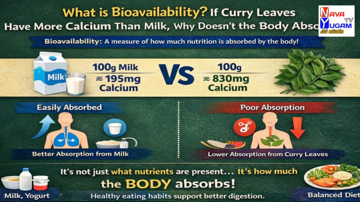 బయో అవైలబిలిటీ (Bioavailability): మన తినే ఆహారంలోని పోషకాలు నిజంగా శరీరానికి అందుతున్నాయా? 1 Bioavailability infographic comparing calcium absorption from milk and curry leaves