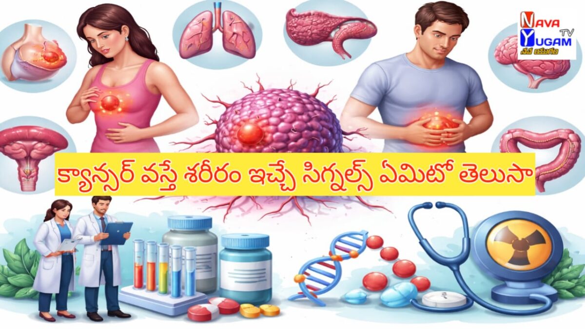 క్యాన్సర్ లక్షణాలు(Cancer symptoms): శరీరం ఇచ్చే ఈ హెచ్చరికలను అస్సలు నిర్లక్ష్యం చేయకండి! 1 Cancer awareness illustration with tumor cell, organs and medical treatment symbols