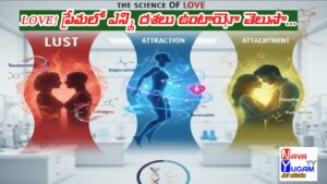 Illustration showing brain chemistry and romantic couple symbolizing science of love