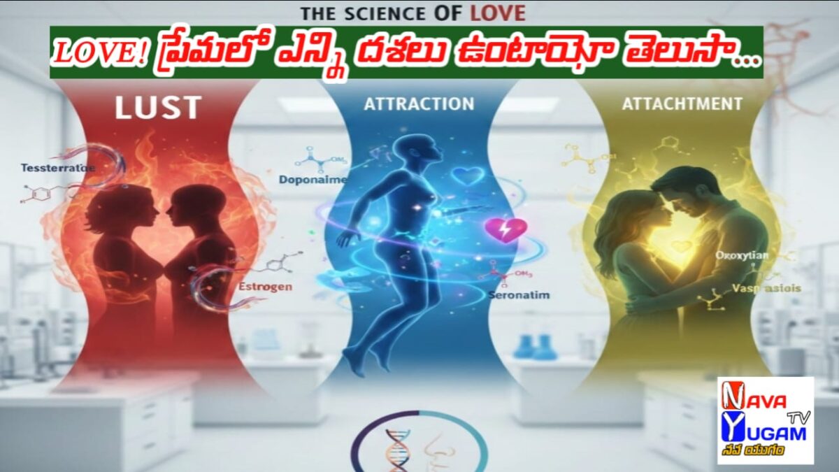 LOVE: ప్రేమ వెనుక సైన్స్: మనసా? మెదడా? హార్మోన్ల మాయాజాలమా? 1 Illustration showing brain chemistry and romantic couple symbolizing science of love