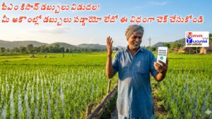PM Kisan 22nd Installment ₹2000 Credited