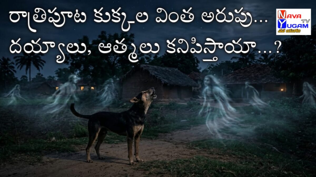 Night Dogs Howling:రాత్రివేళ కుక్కల ‘వింత’ అరుపులు: దయ్యాల సంకేతమా? 1 A dog howling at night, looking up at the sky.